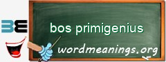 WordMeaning blackboard for bos primigenius